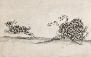 Lion et Lièvre Composés de Feuillage Ornemental